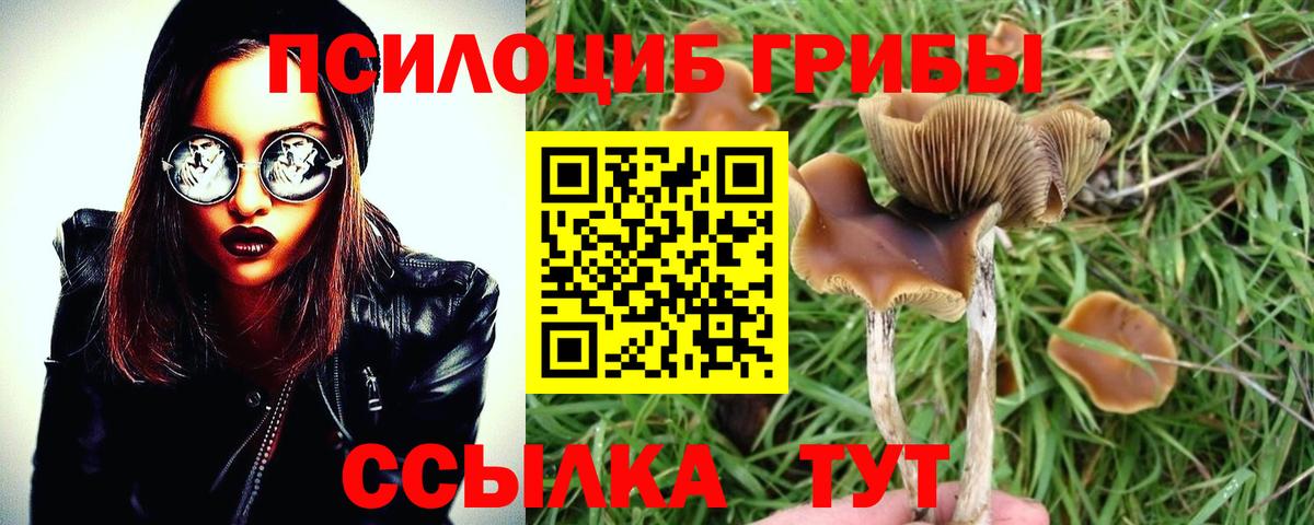 Галлюциногенные грибы Cubensis  Вход с VPN  Артёмовский 