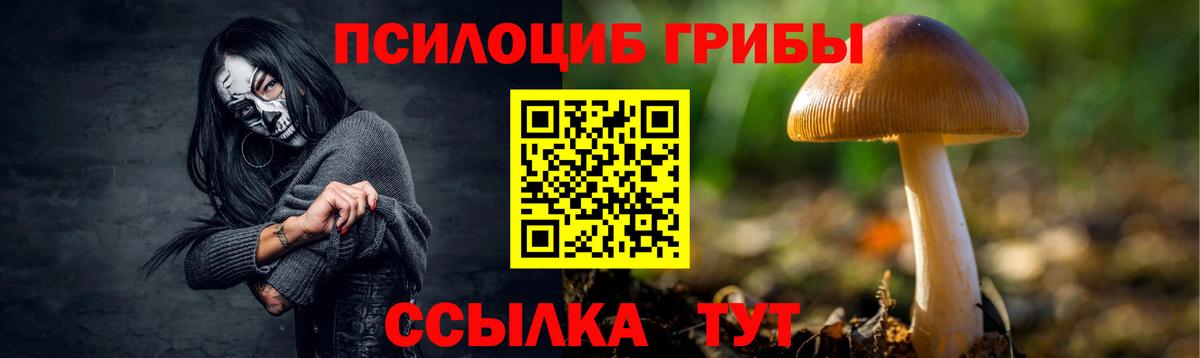 Псилоцибиновые грибы прущие грибы  Артёмовский 